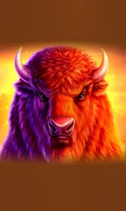 Buffalo 50